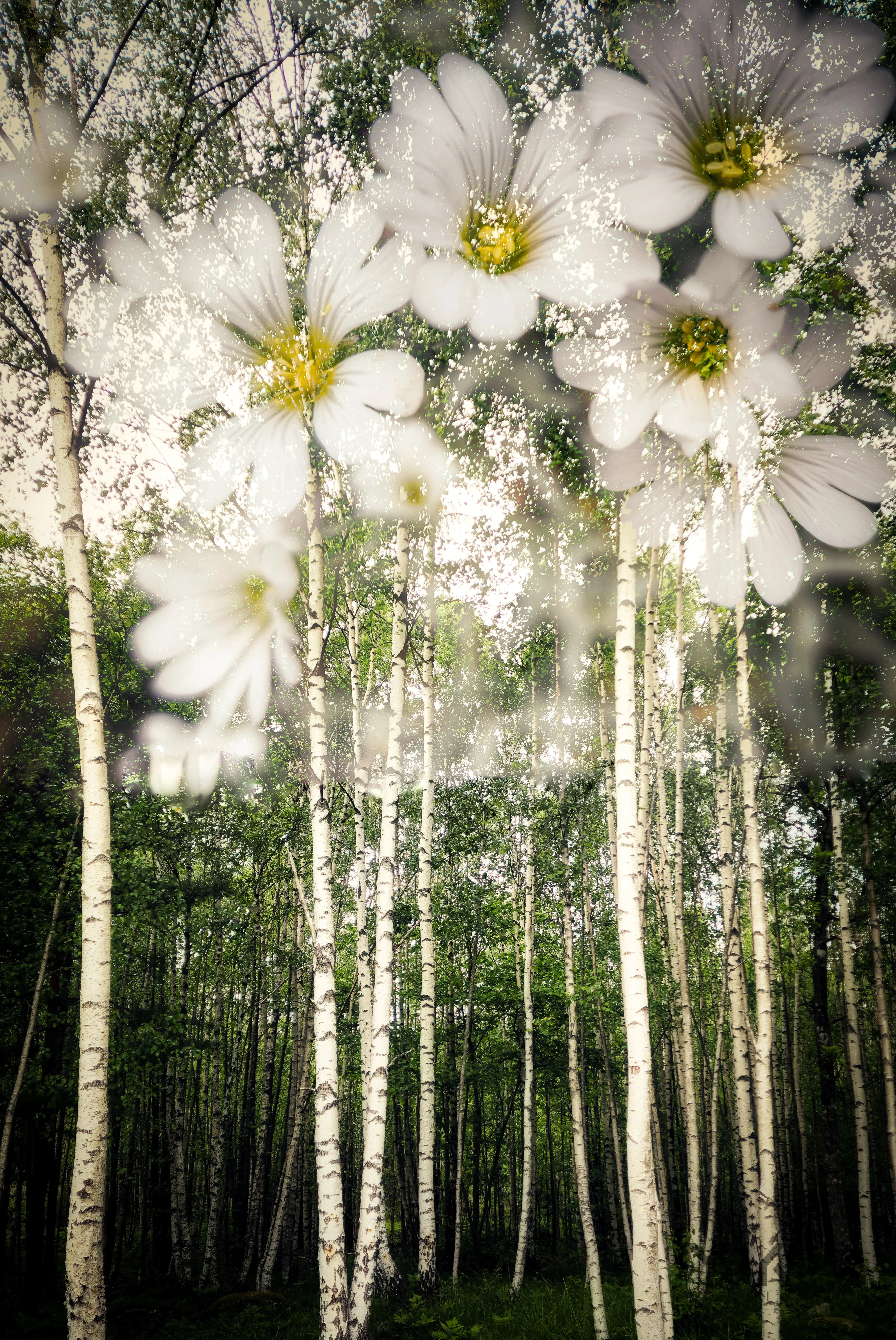 TreeFlower